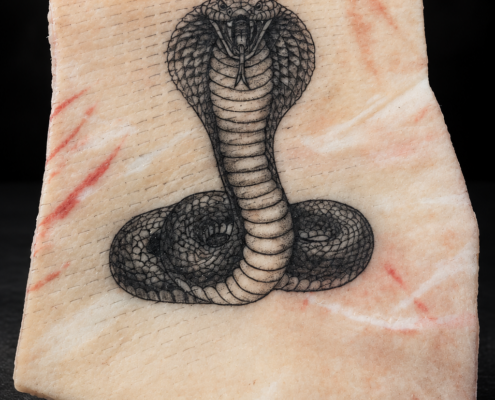 Entraînement tatouage Cobra par L'Art de l'Expression Tatouage au Havre