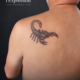Tatouage scorpion réalisé par L'Art de l'Expression Tatouage au Havre
