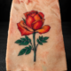 Entraînement tatouage rose par L'Art de l'Expression Tatouage au Havre