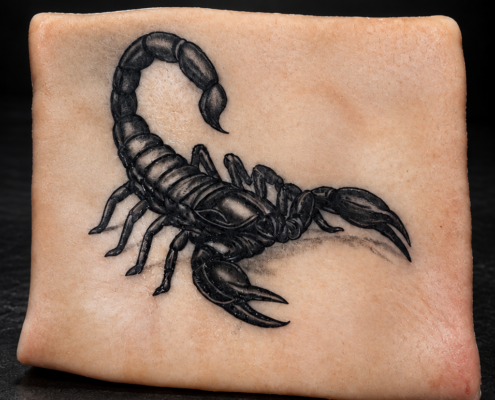 Entraînement tatouage scorpion par L'Art de l'Expression Tatouage au Havre