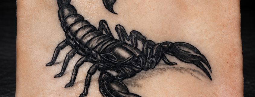 Entraînement tatouage scorpion par L'Art de l'Expression Tatouage au Havre